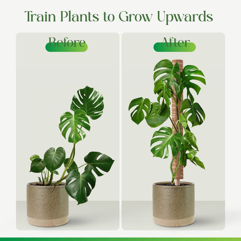 Pisol Moss Pole for Plants Monstera  Extendable Plant Sticks Support  Plant Stakes for Indoor Potted Plant  15.7'' Coco Coir Pole Plant Trellis for Sphagnum  Pothos and Other Climbing Plants(2 PCS) - Image 2